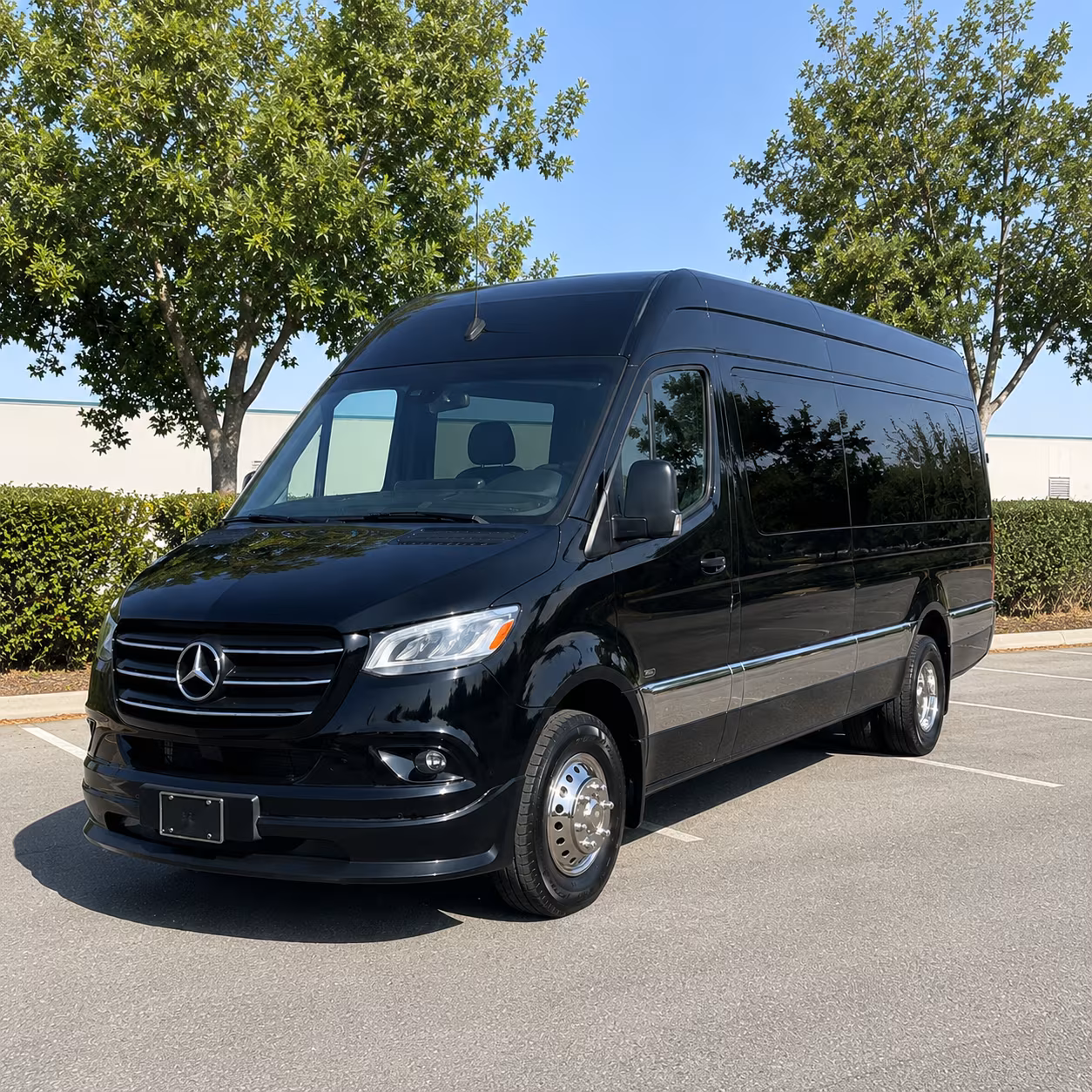 14 Passenger Sprinter Limo
